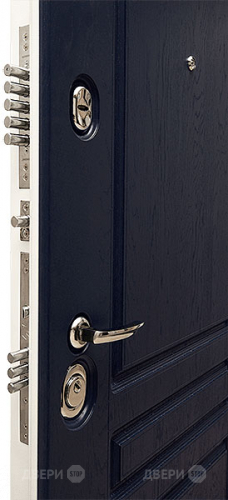 Входная металлическая Дверь Сударь МД-45 в Егорьевске