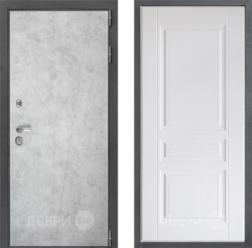 Входная металлическая Дверь Дверной континент ДК-3/743 ФЛ-243 Альберо Браш серебро в Егорьевске